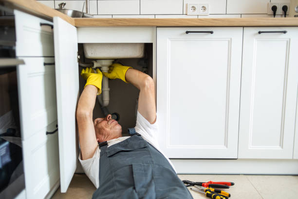 Best Clogged Drain Plumber  in Round Lake, IL